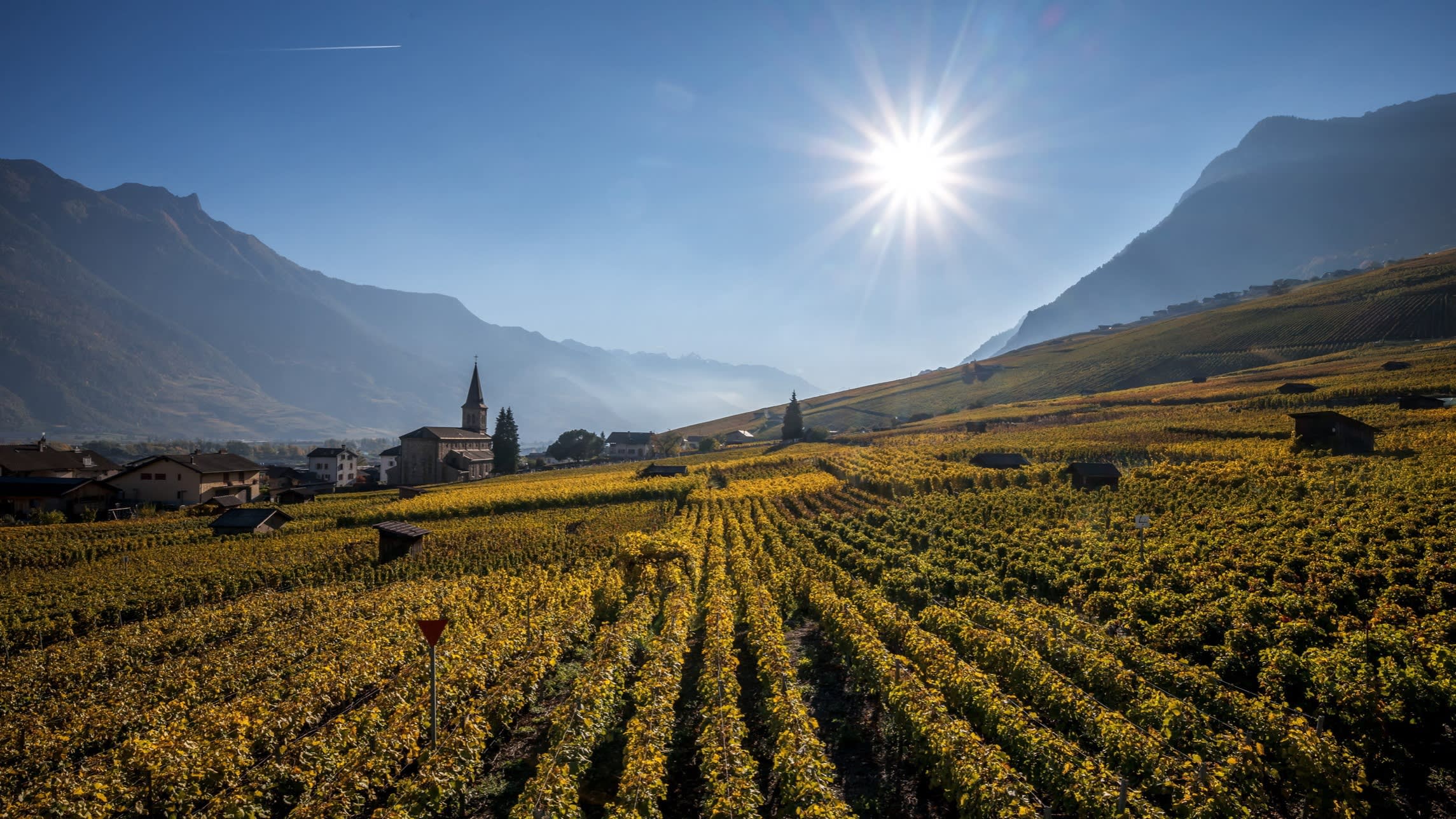 Swiss wine growers seek to limit European imports